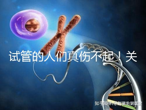 試管的人們真?zhèn)黄?！關于養(yǎng)囊的成功率這些你得知道