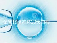 試管移植凍胚10天白板咋辦？懷孕還有希望別擔(dān)心