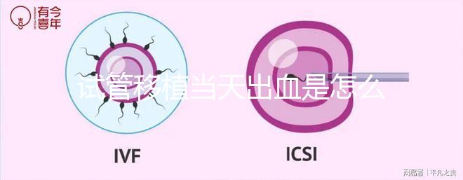 試管移植當(dāng)天出血是怎么回事？收好你的“玻璃心”別太擔(dān)心