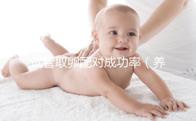 試管取卵配對成功率（養囊胚和凍胚哪個成功率高）