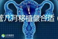 試管幾月移植最合適(試管幾月移植最合適呢)