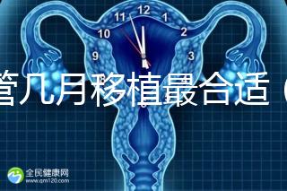 試管幾月移植最合適(試管幾月移植最合適呢)