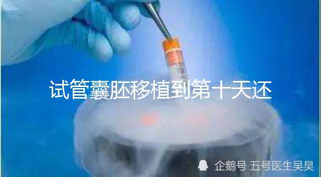 試管囊胚移植到第十天還是白板別擔心，放松心態等逆襲吧！