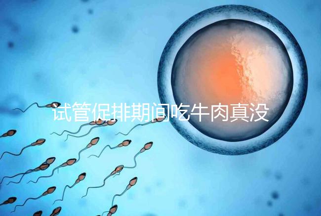 試管促排期間吃牛肉真沒影響,關(guān)鍵在于是火鍋還是牛肉干