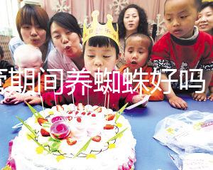 試管期間養(yǎng)蜘蛛好嗎？人們告訴你，這些影響應(yīng)該早知道