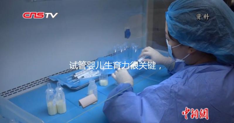 試管嬰兒生育力很關鍵，4個方面評估好不好？