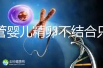 試管嬰兒精卵不結(jié)合只是基因問題？這幾大原因告知真相