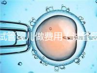 試管嬰兒做費(fèi)用(試管嬰兒做費(fèi)用多少)