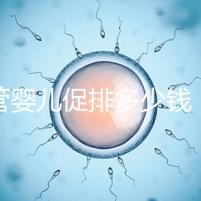 試管嬰兒促排多少錢(試管和促排哪個傷害小)