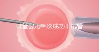 試管嬰兒一次成功（試管嬰兒一次成功的幾率大嗎）
