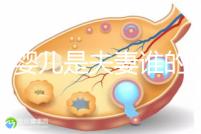 試管嬰兒是夫妻誰(shuí)的問題(試管嬰兒是夫妻的嗎)