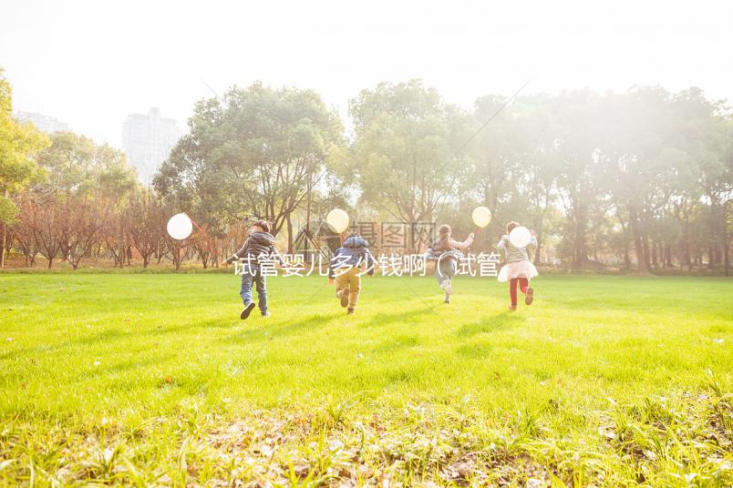 試管嬰兒多少錢啊（試管嬰兒多少錢啊一般來說）