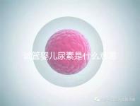 試管嬰兒尿素是什么意思（試管嬰兒尿素是什么意思?。? /></div><sup dir=