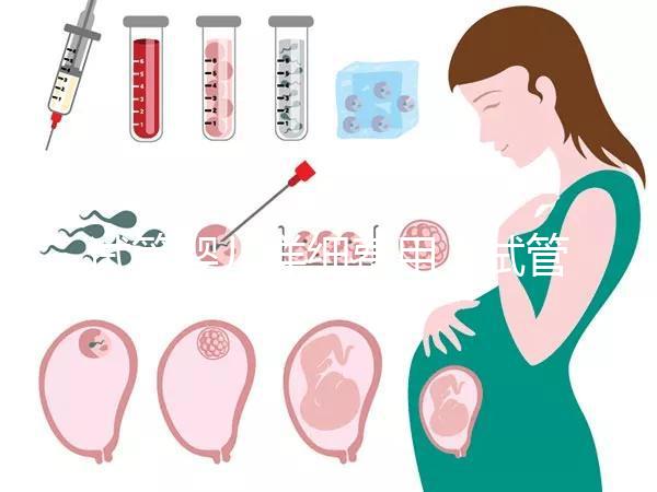 試管嬰兒詳細費用（試管嬰兒詳細費用多少）
