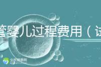 試管嬰兒過程費用(試管嬰兒全過程費用)