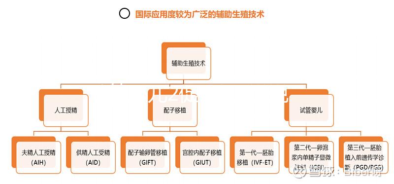 試管嬰兒2促3移，說(shuō)說(shuō)5點(diǎn)我的成功懷孕經(jīng)驗(yàn)