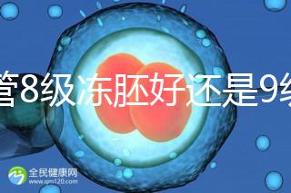 試管8級凍胚好還是9級好進來瞧，看完二者區別全明白