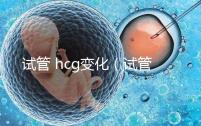 試管 hcg變化（試管hcg變化）