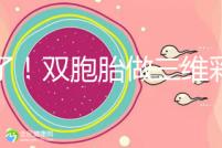 賺了!雙胞胎做三維彩超檢查報告不僅準(zhǔn)確,還拒絕雙收費