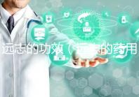 遠(yuǎn)志的功效(遠(yuǎn)志的藥用價值)