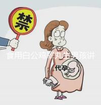 食用白公雞睪丸生男孩講方法，1分鐘說清楚具體怎么吃