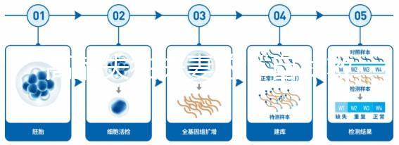 高齡失獨夫妻的“自我救贖”，為什么大都會選擇做試管嬰兒？