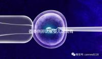 香港供卵試管嬰兒醫院有哪些點？附2024私立機構排名