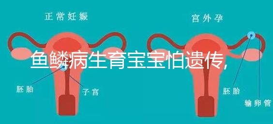 魚鱗病生育寶寶怕遺傳,第三代試管嬰兒基因篩查技術(shù)助好孕