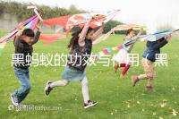 黑螞蟻的功效與作用(黑螞蟻的功效與作用及副作用)