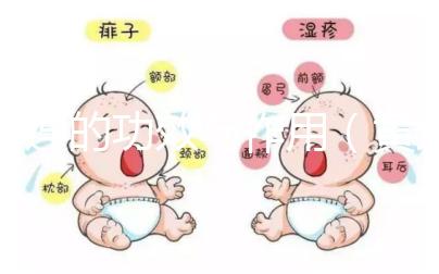 黃連的功效與作用(黃連片對男性性功能的效果)