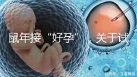 鼠年接“好孕”，關于試管嬰兒取卵的那些事兒！