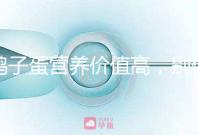 鴿子蛋營養(yǎng)價(jià)值高，別信孕婦吃了會造成胎兒早熟的胡話