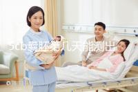 5cb囊胚第幾天能測出看移植成功后續發育怎么樣，不懂戳