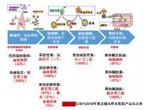 5bc囊胚移植后第六天測(cè)兩條杠要注意,第九天沒了不在少數(shù)