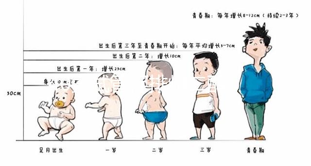 40歲試管促排雌二醇385是否1-2個卵的答案揭曉，想造戳