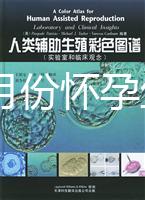 40歲幾月份懷孕生男孩？你想要的答案在生男生女清宮圖