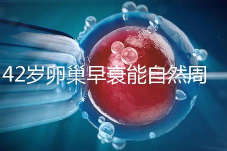 42歲卵巢早衰能自然周期取卵做試管嬰兒？
