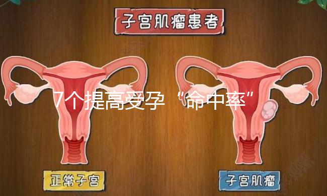 7個(gè)提高受孕“命中率”的訣竅，還不快快收入囊中！