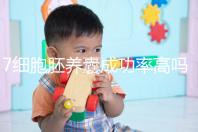 7細胞胚養囊成功率高嗎？聽聽做過試管的姐妹怎么說