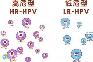 6個胚胎養(yǎng)囊成功率是多大答案在這，能配成3個機(jī)會就大
