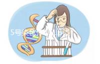 5號染色體q31.3微缺失綜合癥嚴重嗎?會怎么樣?