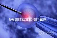 5天囊胚解凍移植后著床or游離看這，驗孕時間可別太早