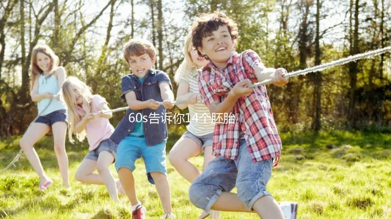 60s告訴你14個胚胎養(yǎng)囊能成多少,只有3個許是質(zhì)量不行