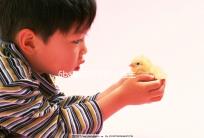 6ba囊胚好不好?醫(yī)生:調(diào)理好身體才是提升成功率的基礎(chǔ)