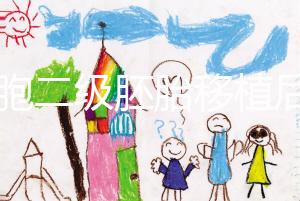 9細胞二級胚胎移植后8天沒感覺，成功率依然很高