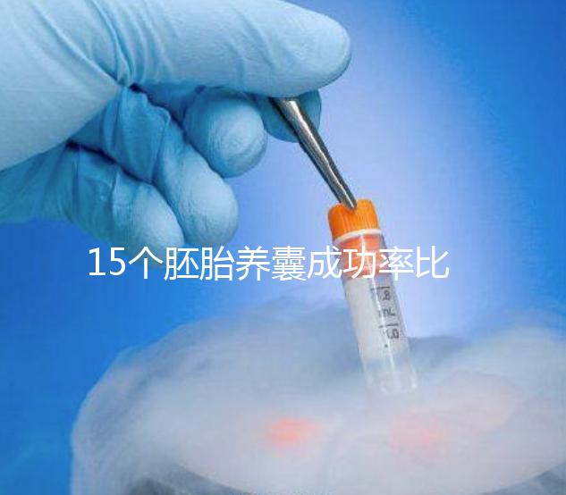 15個胚胎養囊成功率比想象高，只成了1個不正常要警惕