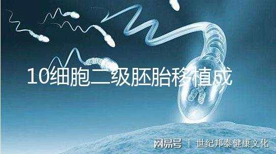 10細胞二級胚胎移植成功率解析，應不應該養囊答案在這