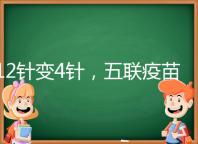 12針變4針,五聯(lián)疫苗接種時間整理,戳進(jìn)來看全攻略