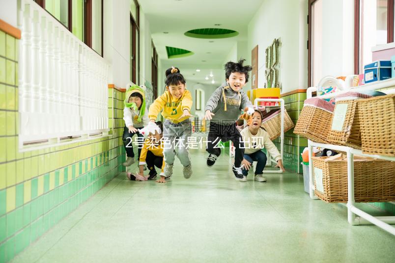 2號染色體是什么，出現(xiàn)異常有哪些后果