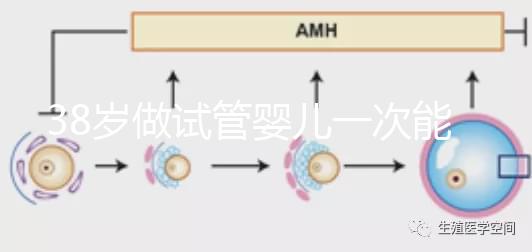 38歲做試管嬰兒一次能成功嗎?提前準(zhǔn)備好這4點或許可以